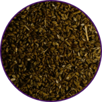 Imagem dos grãos do produto Brachiaria Humidicola cv. Humidicola
